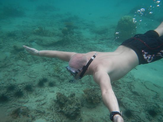 In der Zwischenzeit: Roland gibt eine gute Figur
unter Wasser ab... Frei nach dem Motto:
"I believe I can dive"
Wir Zwei beim Schnorcheln im Regen