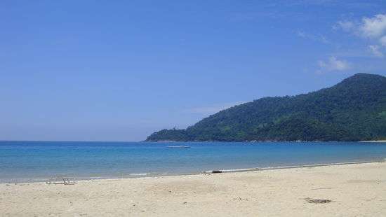 Menschenmassen am Strand klauen sich gegenseitig den Sonnenplatz und drängeln sich um die Liegen...