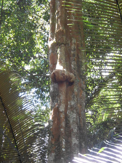 Und hier eine Nahaufnahme )) Weil's sooo schöööön war