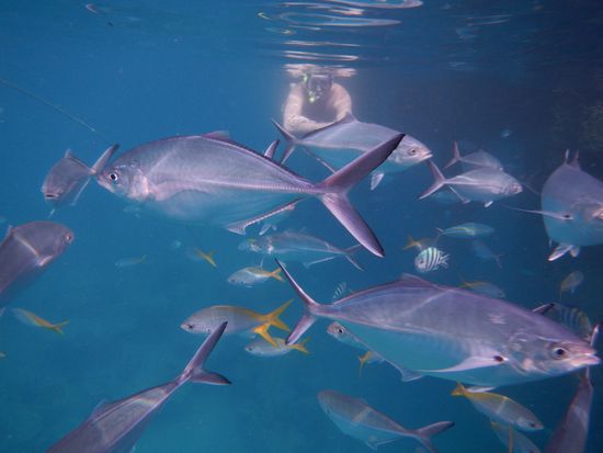 Da ist schon wieder so viel los, wie auf der Autobahn.