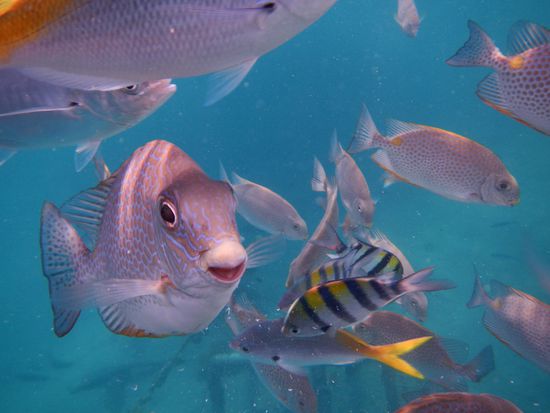 Der "Toni" war schon kameraerprobt und hat das Blitzlicht gesucht und schön gelächelt beim Posen  