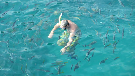 "Schau hi, da liegt a toter Fisch im Wasser, den mach mer hi"