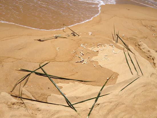 
Der erste Versuch ging ins "Wasser"...Da war die Welle schneller als wir...