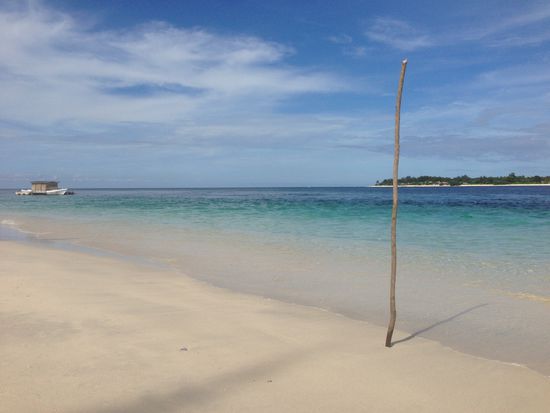 Das wird mal 'ne Palme, wenn 'se groß is 