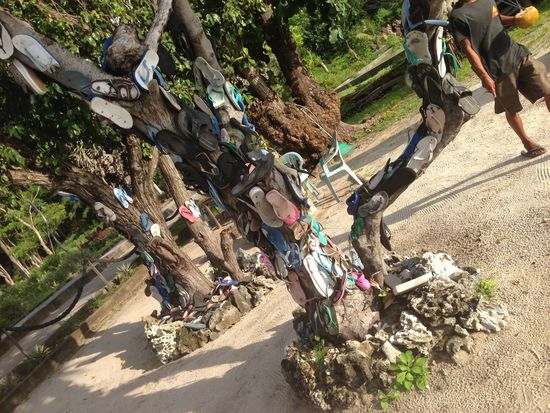 Ahhhhhhhhh...
Der Flip-Flop-Baum
Ja ne, is klar