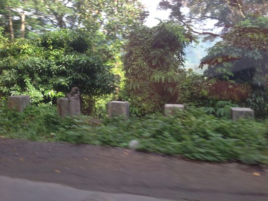 Schlecht zu erkennen, aber überall sitzen die Affen in den Bergen rum...