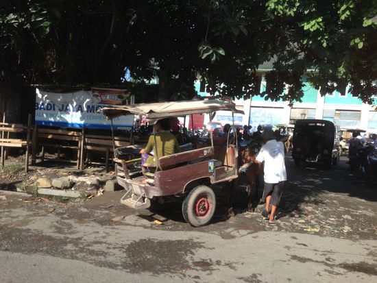 Auch hier werden noch die Kutschen als günstiges Transportmittel genommen: als Taxi.