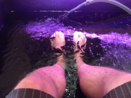 Ich geniesse ein letztes Mal ein Fish-Spa und
