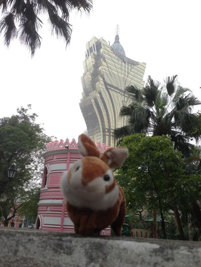 Ja, "Hasi" durfte auch wieder mit