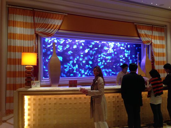 Japanischer Shellyfish (Quallen) im Seiteneingang...