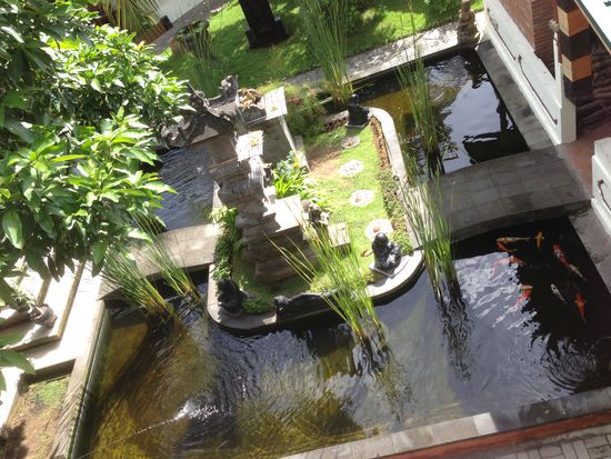 eine schöne Idylle. Da schwimmt auch schon das Abendessen rechts im Bild.