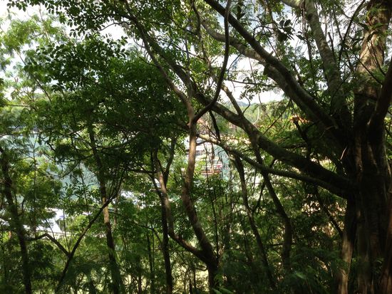 Als erstes mal eine kleine Umgebungstour starten.
Welcome to the jungle