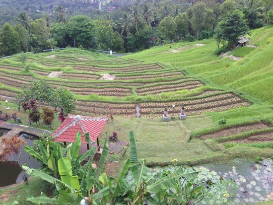Kurzer Stop fürs Bilder machen und es kann dann der
Ausblick über die Reisterrassen genossen werden