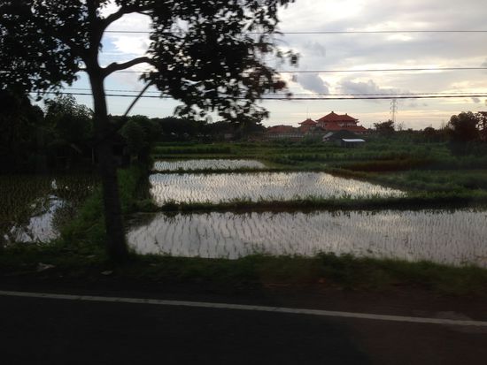 Wieder im Van zurück um sich im Auto trocknen lassen...
Hier machen die Reisfelder Sinn, da der Regen schön die Felder bewässert