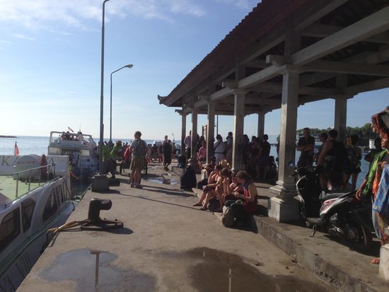 Da ist richtig was los am Hafen