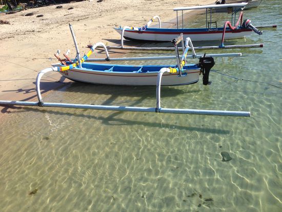 Hier sind wieder die Kraken zu sehen