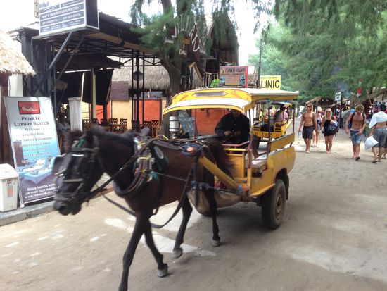Was für ein Verkehrschaos  Hier scheint die Zeit still zu stehen, da es nichts Motorisiertes gibt.