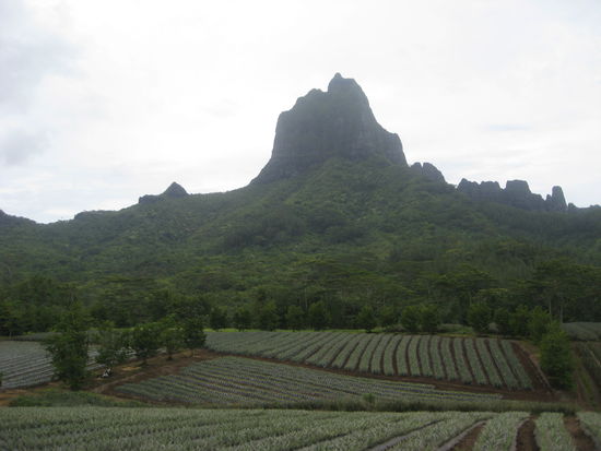 Einen Blick ins Landesinnere zum Schluss