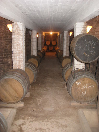 bei einer Tour in den Weinkeller