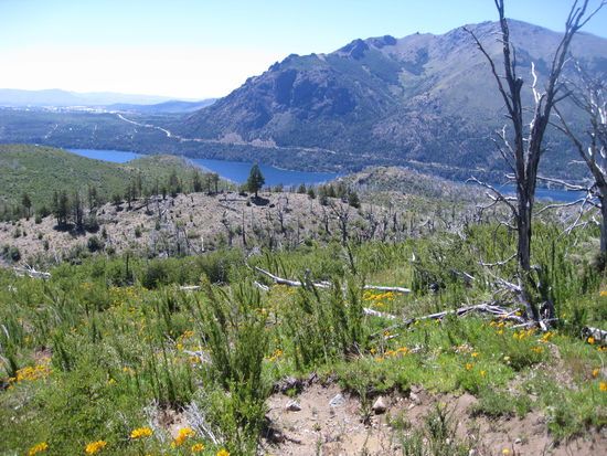 sehr schoene Aussicht auf dem Weg zum Refugio Frey