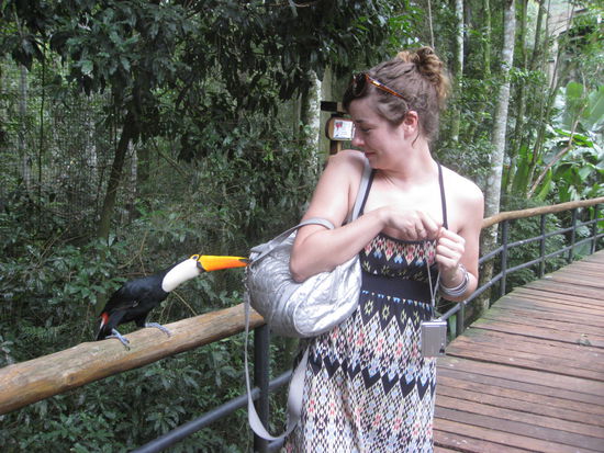 Jenny und ein hungriger subtropischer Vogel