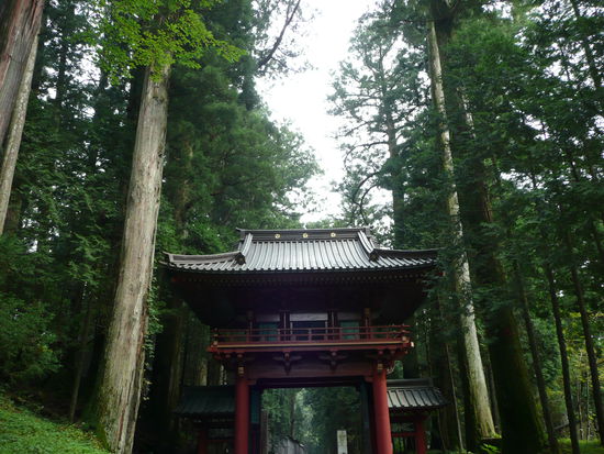 Nikko