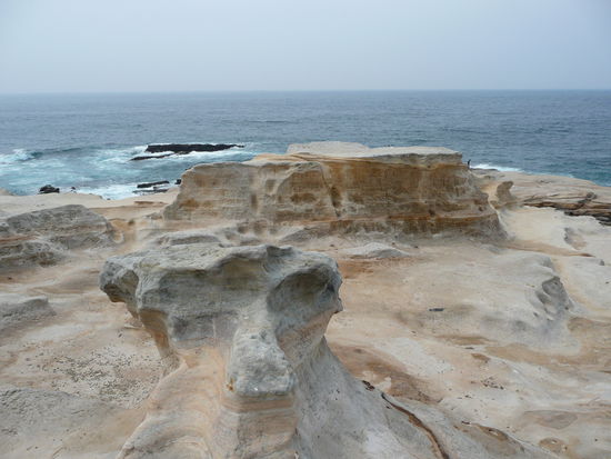 "Tatamimattenkueste"