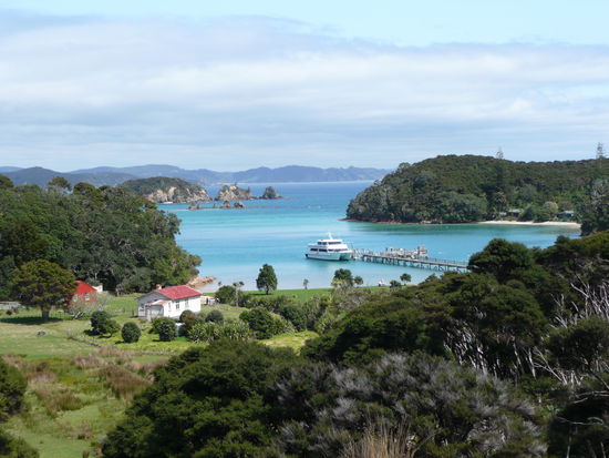 in der Bay of Islands
