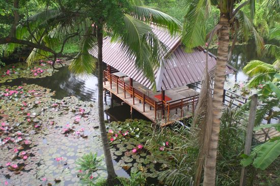 der ausblick aus unserem zimmer!