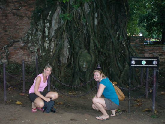 der obligaorische buddhakopf im baum...