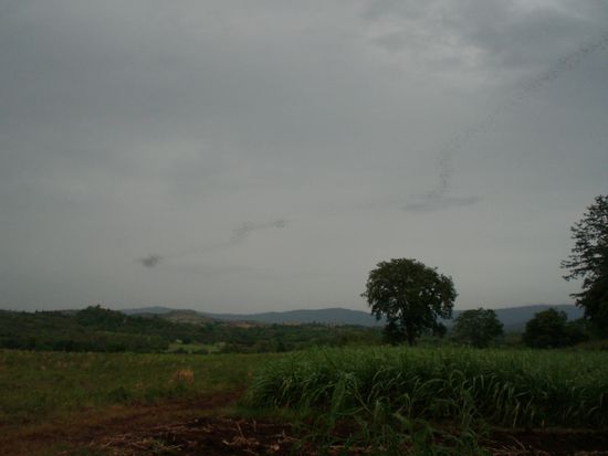 und sind als nicht abreissender strom noch über den ganzen horizont zu sehen!