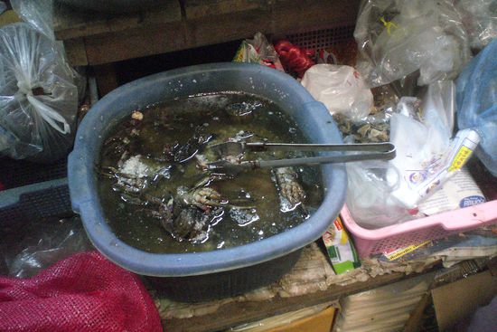 mhh leckere fischsauce