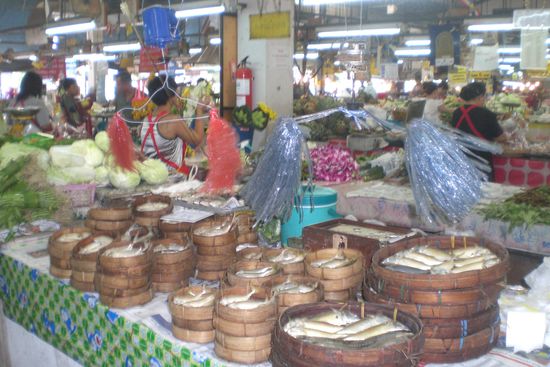 die wedel halten die fliegen weg