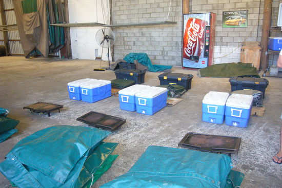 eine Reihe eine Gruppe