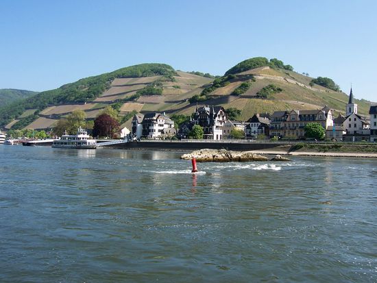Assmannshausen .. hier wächst der beste Spätburgunder Deutschlands