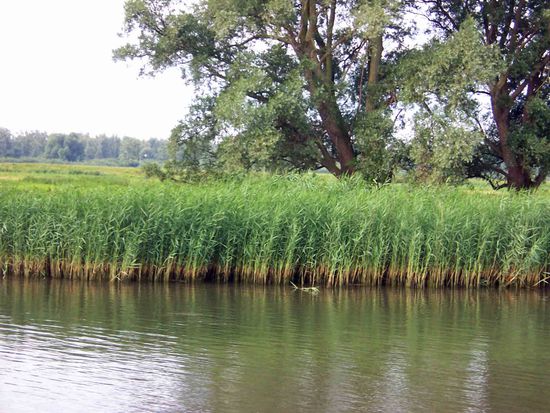 wechselnde Wasserstände