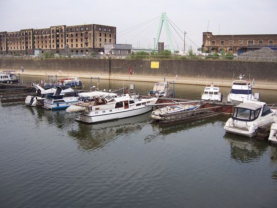 Beluga im Rheinau Hafen in Köln
