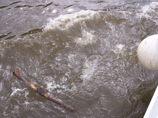 bei Hochwasser heißt es : Augen auf..