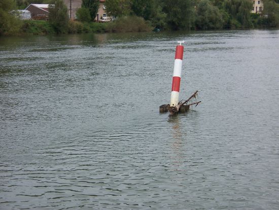 Barke mit Pfeil, trotzdem fahren manche an der falschen Seite vorbei
