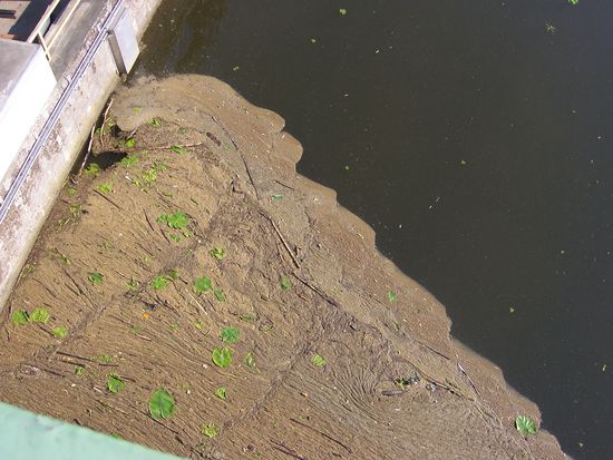 Das soll das Trinkwasserreservoir vom Ruhrgebiet sein???