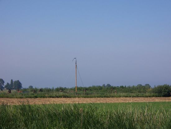 Von Segelbooten  sieht man nur den Mast durch die Landschaft wandern