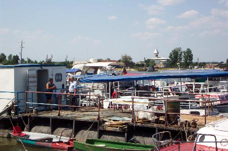 in Tulcea steppt der Bär