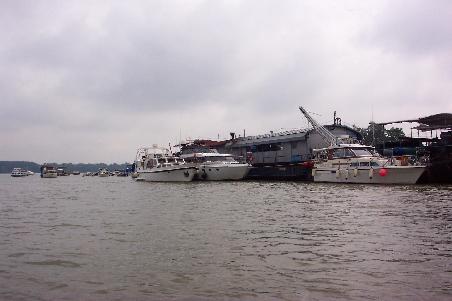 Unser Liegeplatz bei der Marina Docrol in Belgrad