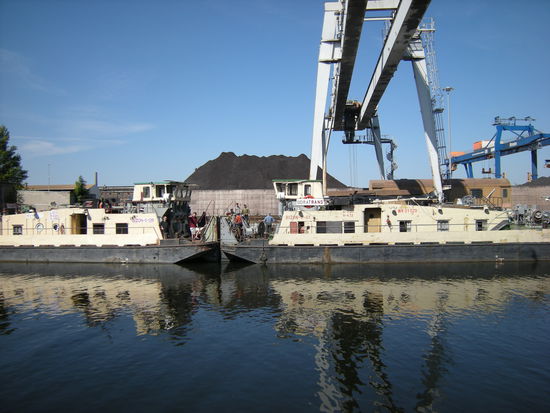 zwei polnische Bizons beim Verladen