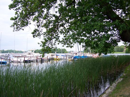 hier war Beluga während unseres Heimaturlaubs gut aufgehoben.