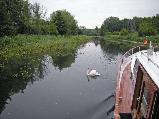 dieser Papa wollte sich doch wirklich mit Beluga streiten