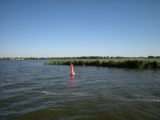 ein Wrack über das im wahrsten Sinne des Wortes Gras gewachsen ist