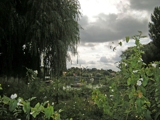 Blick auf die Insel Werder mit der Windmühle