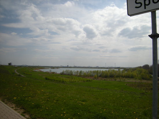 unser erster Blick auf die Elbe