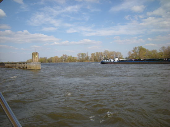 am Molenkopf gehts vom Kanal in die Elbe